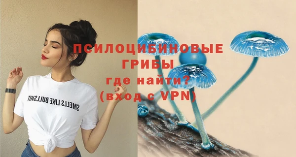 трава Каменка