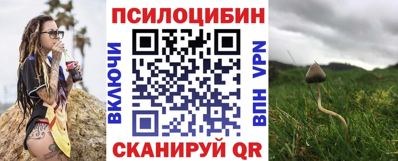 Псилоцибиновые грибы Psilocybine cubensis  Купить где  Давлеканово 